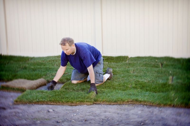 Lawn Sodding in Ventura County, CA