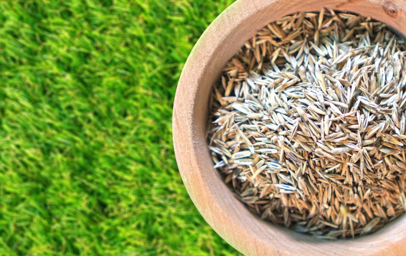 Spring Grass Seeding in Ventura County, CA