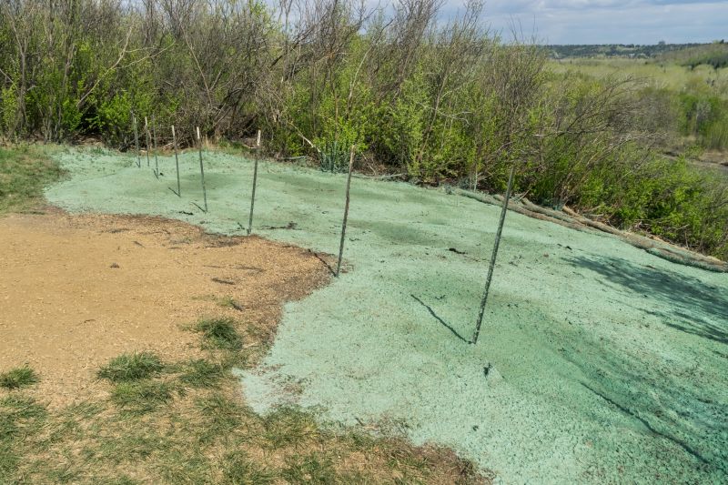 Yard Hydroseeding