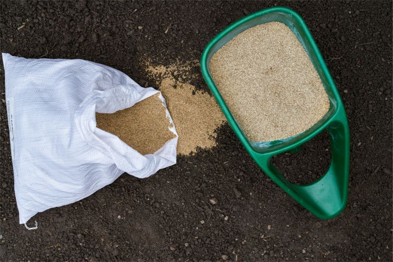 Yard Seeding in Ventura County, CA
